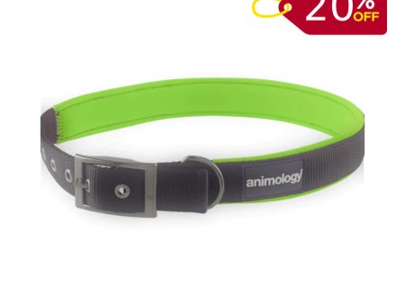 Animology Padded Buckled Collar – Green Fashion