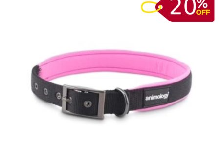 Animology Padded Buckled Collar – Pink Online Sale