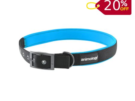 Animology Padded Buckled Collar - Blue For Cheap