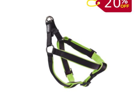 Animology Padded Harness – Green Online Sale