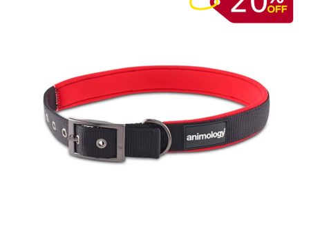 Animology Padded Buckled Collar – Red For Sale